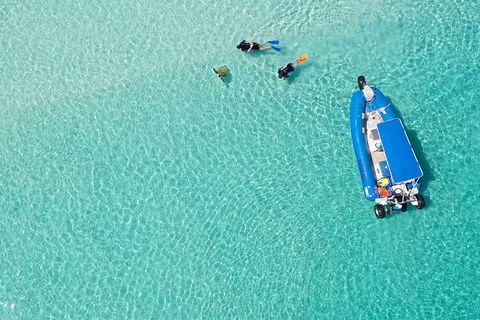 Remote Fraser Island & Whale Experience - St Kilda Accommodation 0