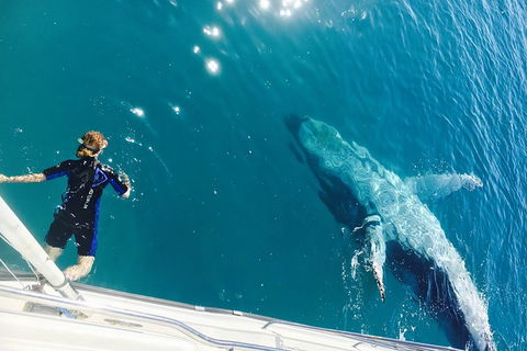 Remote Fraser Island & Whale Experience - St Kilda Accommodation 4