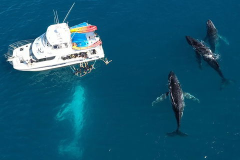 Remote Fraser Island & Whale Experience - St Kilda Accommodation 3