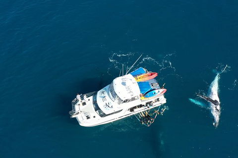 Remote Fraser Island & Whale Experience - St Kilda Accommodation 1