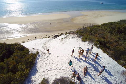 Remote Fraser Island & Whale Experience - St Kilda Accommodation 2