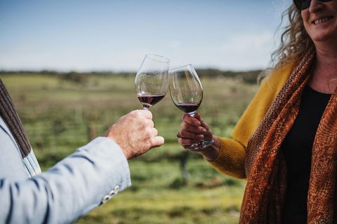 Armagh Vineyard Exclusive Wine Experience And Lunch - St Kilda Accommodation 1