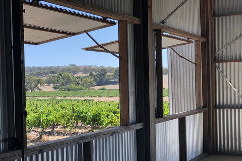 Armagh Vineyard Exclusive Wine Experience And Lunch - St Kilda Accommodation 5
