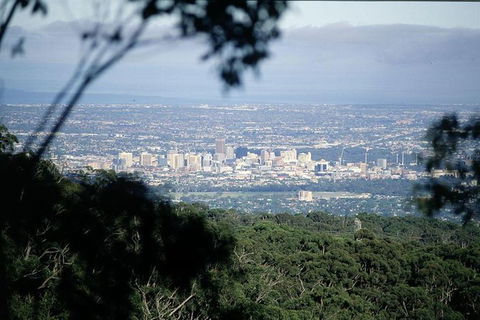 Adelaide Hills Wineries & Hahndorf - St Kilda Accommodation 8