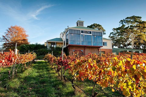 Adelaide Hills Food, Wine, Cheese, & Chocolate - Private Day Tour - St Kilda Accommodation 7