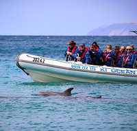 Kangaroo Island 75-Minute Ocean Safari - St Kilda Accommodation