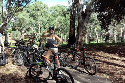 Adelaide City And Parklands Bike Tour - Half Day - St Kilda Accommodation 3