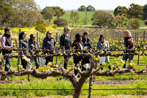 Walk, Taste, Graze - Experience At Pindarie - St Kilda Accommodation 2
