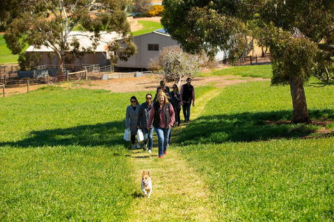 Walk, Taste, Graze - Experience At Pindarie - St Kilda Accommodation 7