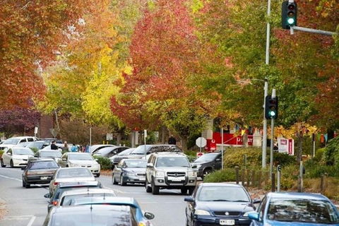 Adelaide Hills Full Day Winery Tour With Tastings - St Kilda Accommodation 3