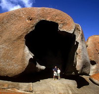 Full-Day Kangaroo Island Safari from Penneshaw - St Kilda Accommodation