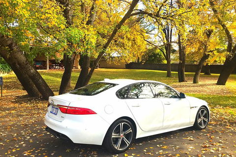 Luxury Jaguar Barossa Valley Half Day Private Tour For 2 - St Kilda Accommodation 0