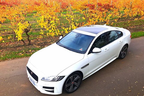 Luxury Jaguar Barossa Valley Half Day Private Tour For 2 - St Kilda Accommodation 2