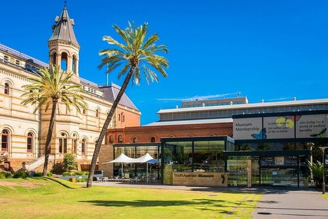 Adelaide Airport Transfers : Airport ADL To Adelaide City In Business Car - St Kilda Accommodation 5