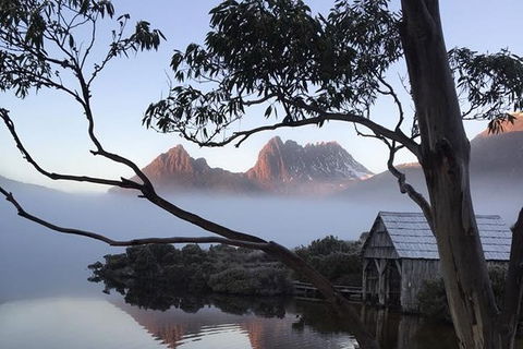 Cradle Mountain Park Explorer - St Kilda Accommodation 7