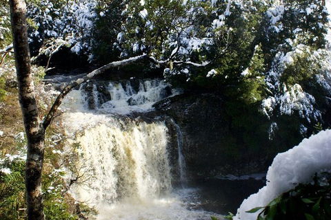 Cradle Mountain Park Explorer - St Kilda Accommodation 1