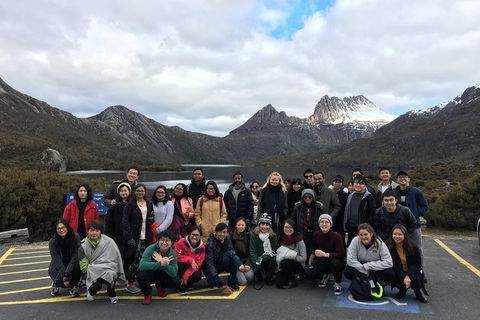 Shore Excursion - Cradle Mountain Day Tour From Burnie - St Kilda Accommodation 4