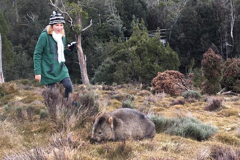 Shore Excursion - Cradle Mountain Day Tour From Burnie - St Kilda Accommodation 1