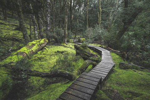 Shore Excursion - Cradle Mountain Day Tour From Burnie - St Kilda Accommodation 2