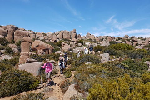 Alpine Loop - St Kilda Accommodation 2