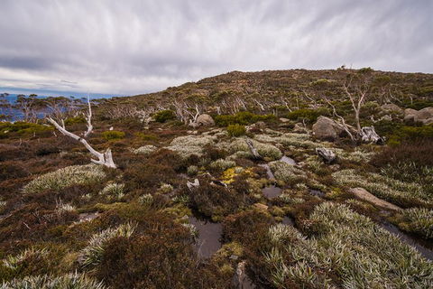 Alpine Loop - St Kilda Accommodation 0