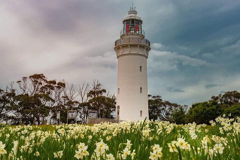 Table Cape Lighthouse Tours - St Kilda Accommodation 7