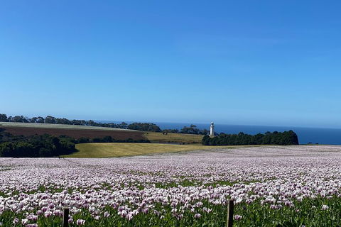 Table Cape Lighthouse Tours - St Kilda Accommodation 8