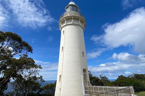 Table Cape Lighthouse Tours - St Kilda Accommodation 4
