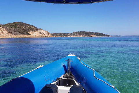 Dolphin And Seal Swim Reef Snorkel Boat Tour Mornington Peninsula - St Kilda Accommodation 6