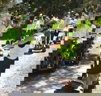 Yarra Valley Segway Tour - St Kilda Accommodation