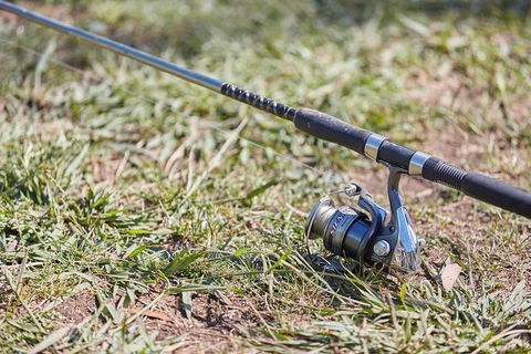 Skip The Line: Fishing Experience Ticket - Buxton Trout & Salmon - St Kilda Accommodation 14