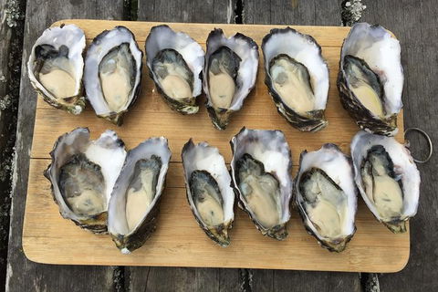 Skip The Line: Fishing Experience Ticket - Buxton Trout & Salmon - St Kilda Accommodation 2