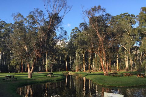 Skip The Line: Fishing Experience Ticket - Buxton Trout & Salmon - St Kilda Accommodation 17