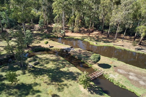 Skip The Line: Fishing Experience Ticket - Buxton Trout & Salmon - St Kilda Accommodation 3