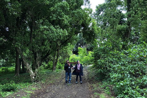 Alices Journeys Guided Walking Tours Of Daylesford - St Kilda Accommodation 5
