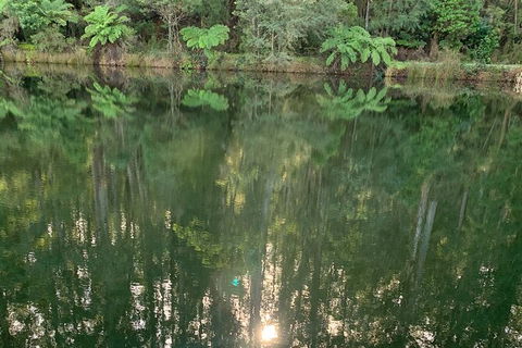 Hiking Tour To Aqueduct And Warburton Valley Lookout - St Kilda Accommodation 2