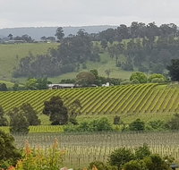 Yarra Valley Wine Tasting Day Tour from Melbourne - St Kilda Accommodation