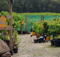 Yarra Valley Wineries and Rayners Orchard Tour from Melbourne - St Kilda Accommodation
