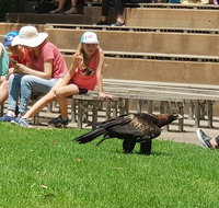 Healesville Sanctuary and Rayners Orchard Tour from Melbourne - St Kilda Accommodation
