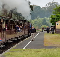 Day Tour of Yarra Valley Puffing Billy and Rayners Orchard - St Kilda Accommodation