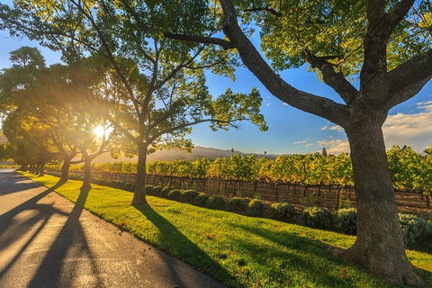 Very Best Of Perth Tour - Wildlife Park & City Highlights Tour - St Kilda Accommodation 3