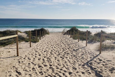 Very Best Of Perth Tour - Wildlife Park & City Highlights Tour - St Kilda Accommodation 9
