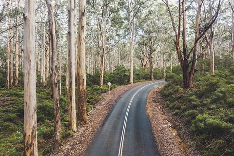 All Inclusive Surf Camp In Margaret River Region - St Kilda Accommodation 2
