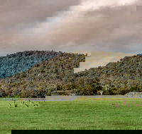 Baldwins Bluff Guided Hike - St Kilda Accommodation