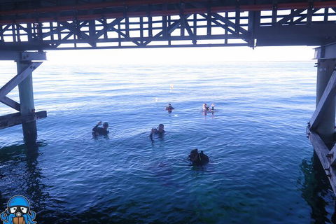 PADI Open Water Course - St Kilda Accommodation 3