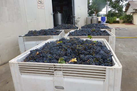 A Taste Of Margaret River Luxury Wine Tour - St Kilda Accommodation 3