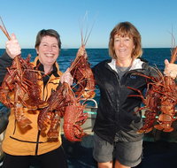 Abrolhos Islands 5 Day Tours - St Kilda Accommodation