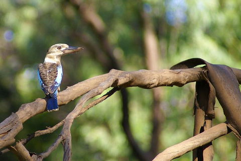 Ord River Experience With Riverside Lunch - St Kilda Accommodation 1