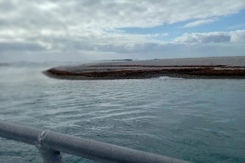 Abrolhos Islands Fishing Charter - St Kilda Accommodation 6