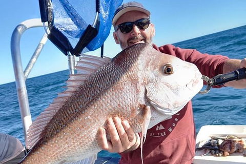 Abrolhos Islands Fishing Charter - St Kilda Accommodation 9